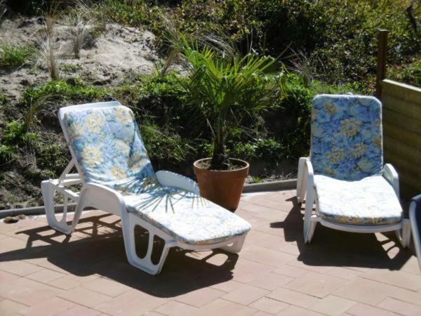 Chalet Joleen Ijmuiden Aan Zee, Vlakbij Het Strand Eksteriør billede