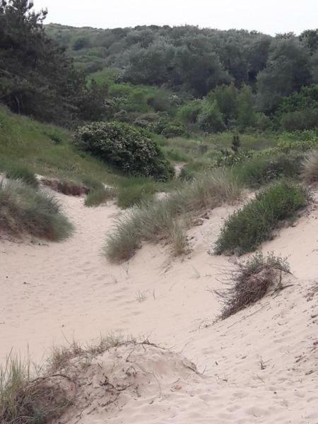 Chalet Joleen Ijmuiden Aan Zee, Vlakbij Het Strand Eksteriør billede